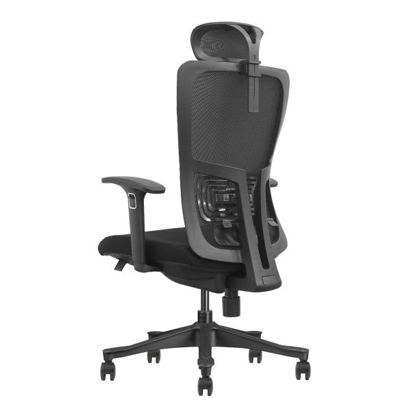 SKILLCHAIRS Ergo Apricity SKILLCHAIRS Ergo Apricity